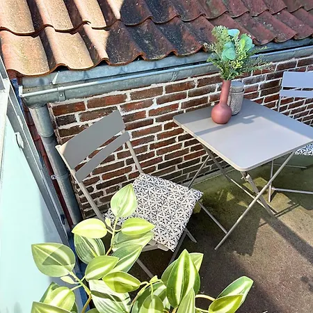 Skon Taglejlighed Midt I Apartman