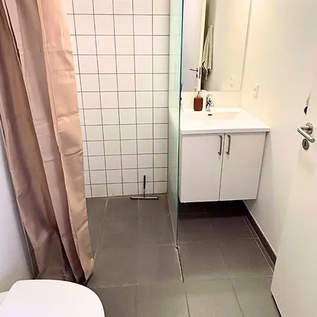 Skon Taglejlighed Midt I Apartment Odense